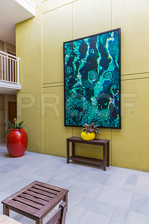 20140421_Key_West_9C7C0879