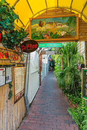 20140421_Key_West_9C7C0921