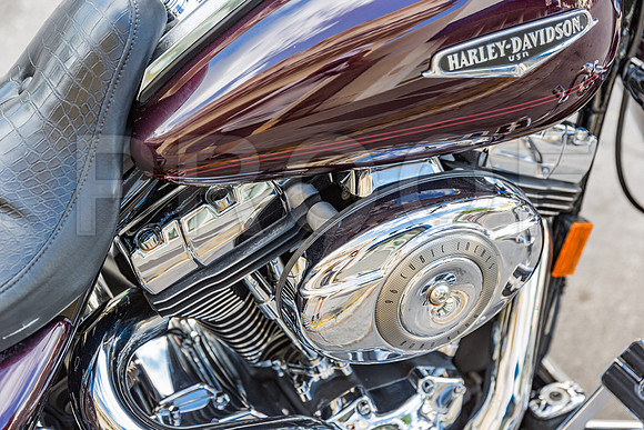 20140421_Key_West_9C7C1018