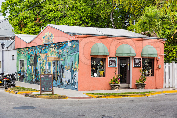 20140422_Key_West_9C7C1439
