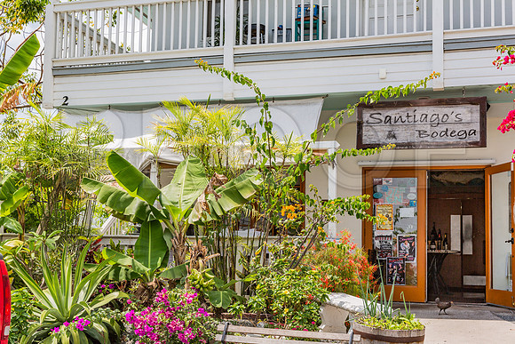 20140422_Key_West_9C7C1698
