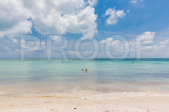 20140422_Key_West_9C7C1645