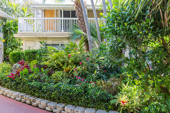 20140421_Key_West_9C7C0882