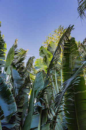 20140423_Key_West_9C7C1830