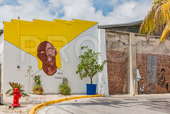 20140422_Key_West_9C7C1701