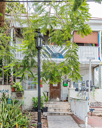 20140422_Key_West_9C7C1676