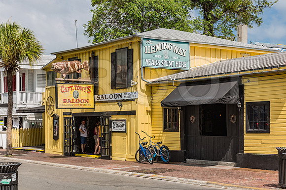 20140422_Key_West_9C7C1751