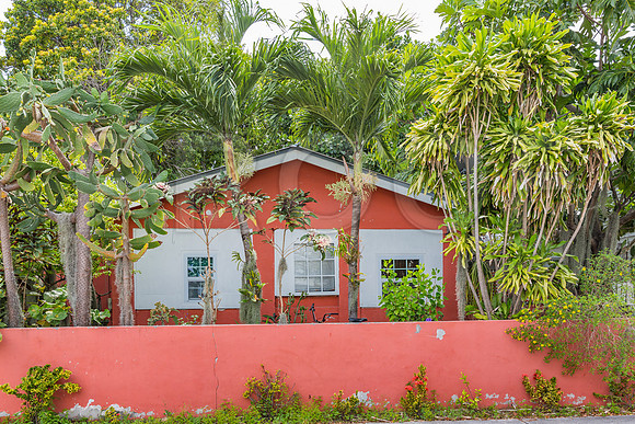 20140422_Key_West_9C7C1719