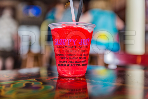 20140421_Key_West_9C7C0960
