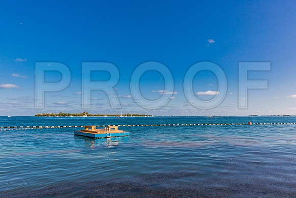 20140423_Key_West_9C7C1792