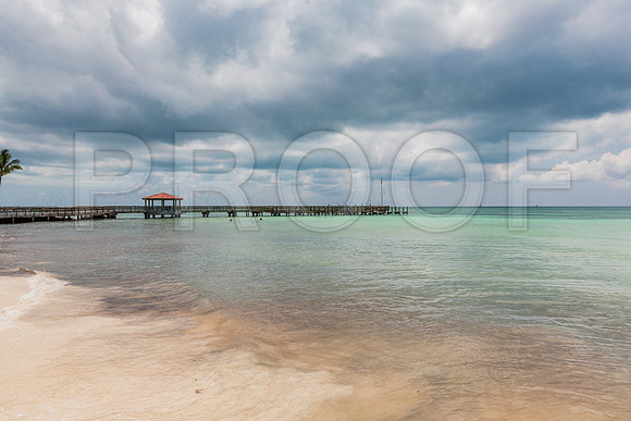20140422_Key_West_9C7C1555