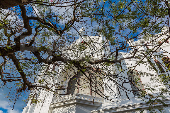 20140421_Key_West_9C7C1110