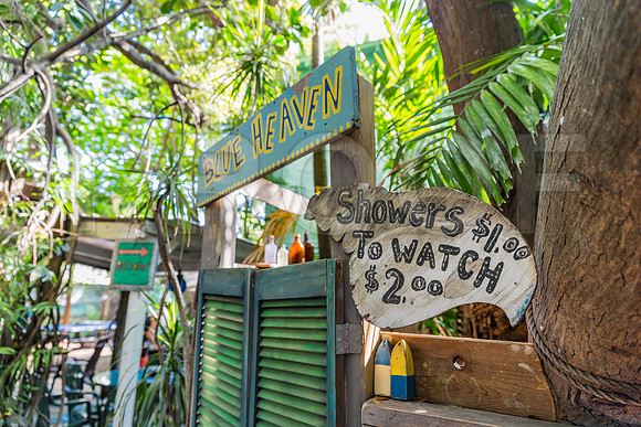 20140422_Key_West_9C7C1401
