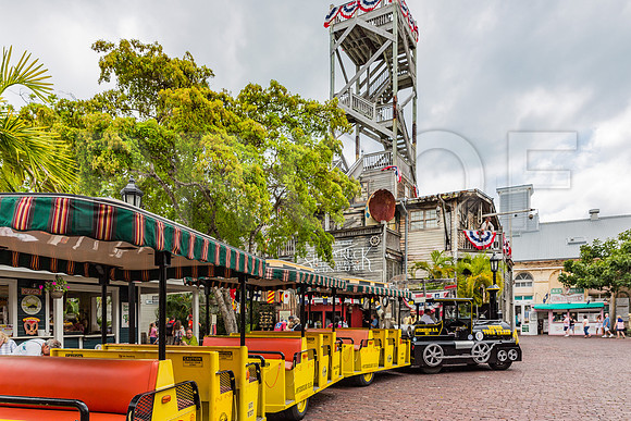 20140422_Key_West_9C7C1757