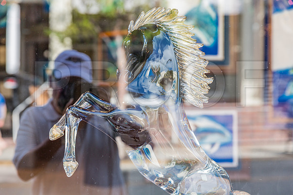 20140421_Key_West_9C7C0909