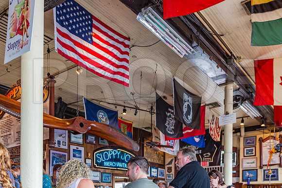 20140421_Key_West_9C7C0933