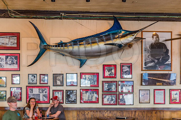 20140421_Key_West_9C7C0945