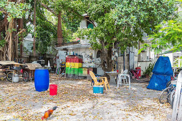 20140422_Key_West_9C7C1684