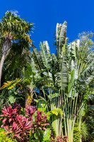 20140421_Key_West_9C7C0880