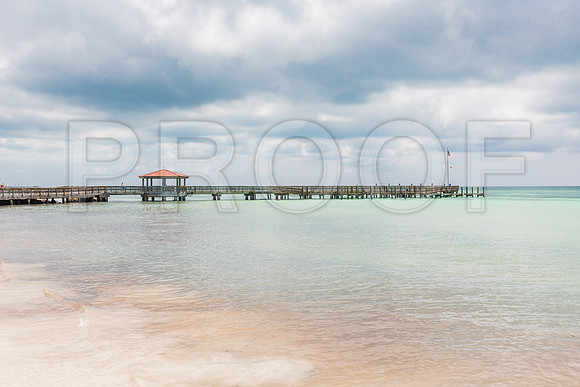 20140422_Key_West_9C7C1574