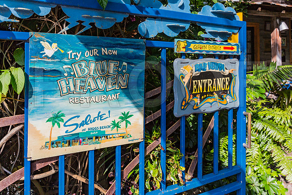 20140422_Key_West_9C7C1402