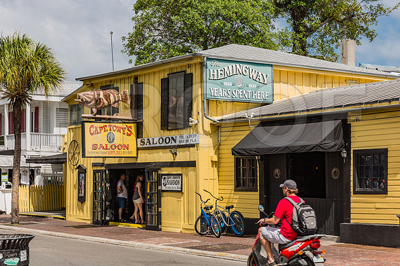 20140422_Key_West_9C7C1749