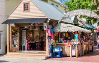 20140421_Key_West_9C7C0911