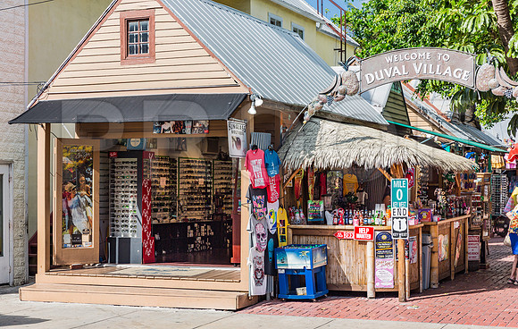 20140421_Key_West_9C7C0911