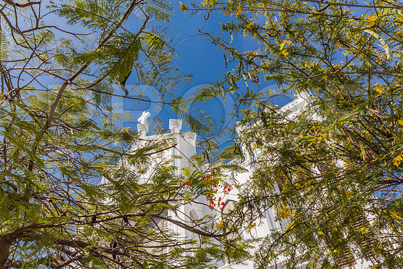 20140422_Key_West_9C7C1772
