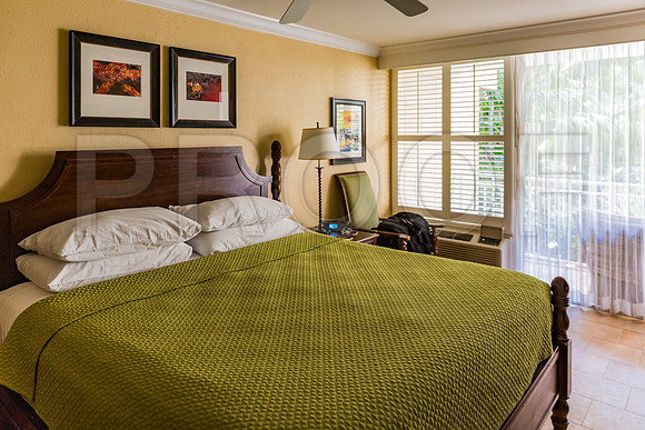 20140422_Key_West_9C7C1783