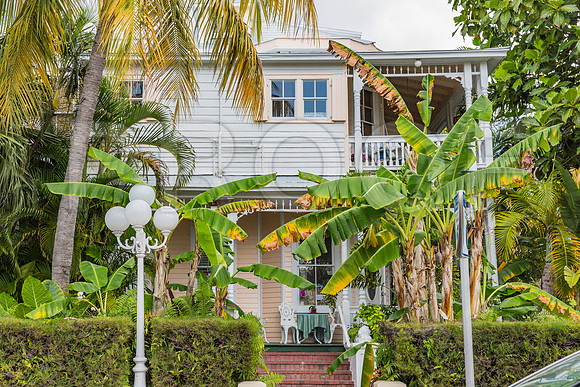 20140422_Key_West_9C7C1473
