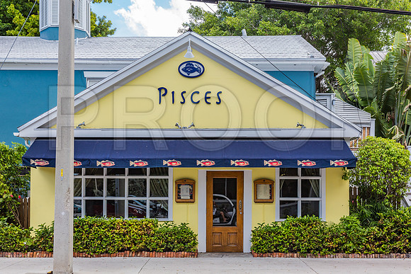 20140422_Key_West_9C7C1521