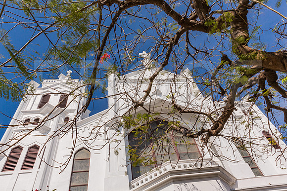 20140422_Key_West_9C7C1773