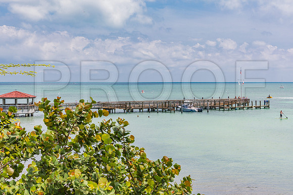 20140422_Key_West_9C7C1624