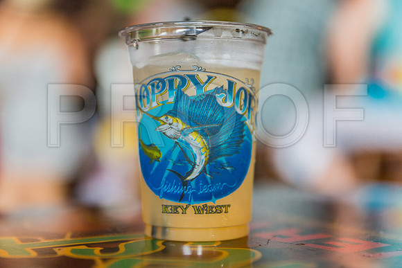 20140421_Key_West_9C7C0954