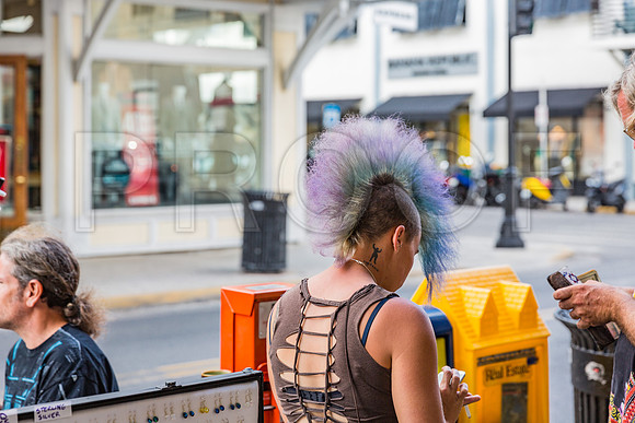 20140421_Key_West_9C7C1016