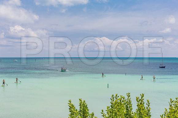 20140422_Key_West_9C7C1634