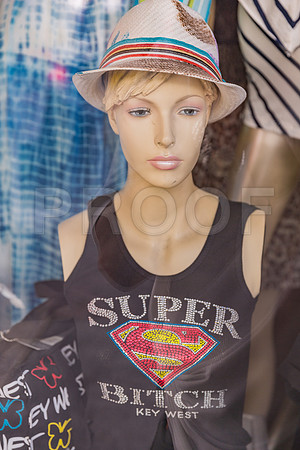 20140421_Key_West_9C7C1026
