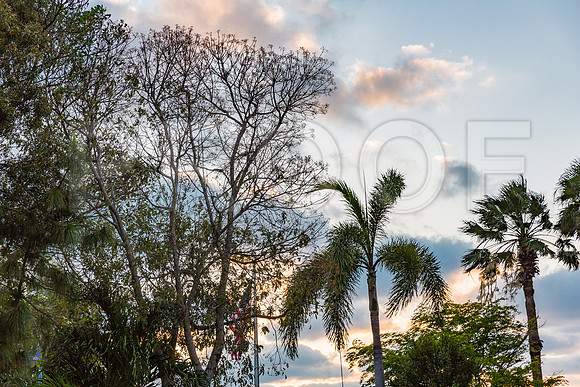 20140421_Key_West_9C7C1243