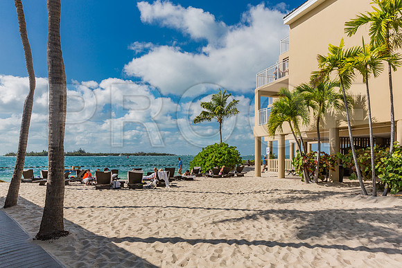 20140421_Key_West_9C7C0883