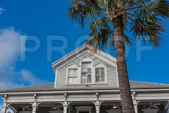20140421_Key_West_9C7C1124