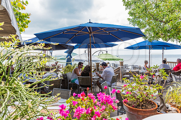 20140422_Key_West_9C7C1603