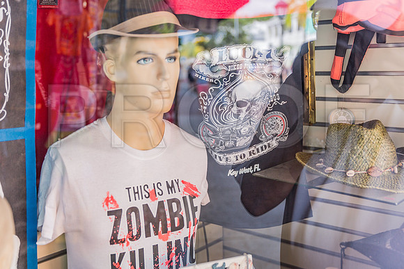 20140421_Key_West_9C7C0918
