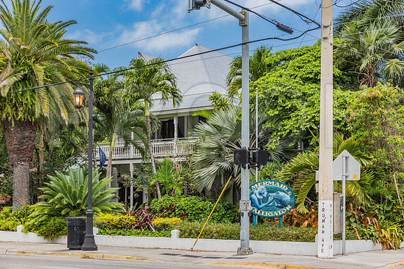 20140422_Key_West_9C7C1534