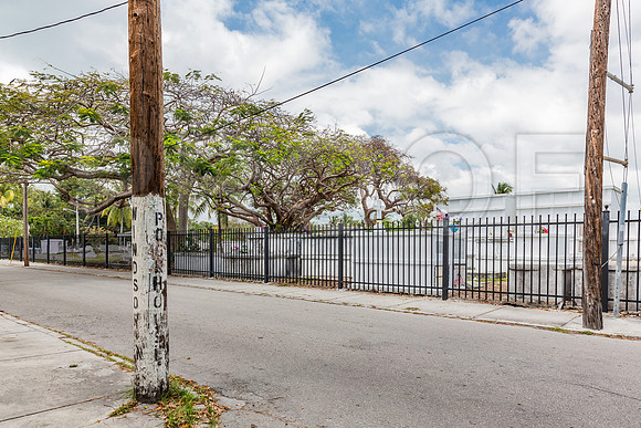 20140422_Key_West_9C7C1718
