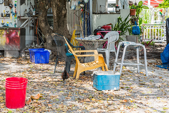 20140422_Key_West_9C7C1696