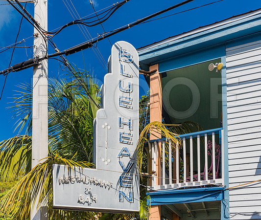 20140422_Key_West_9C7C1409