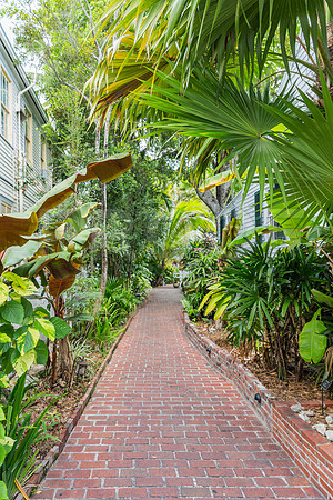 20140421_Key_West_9C7C0993