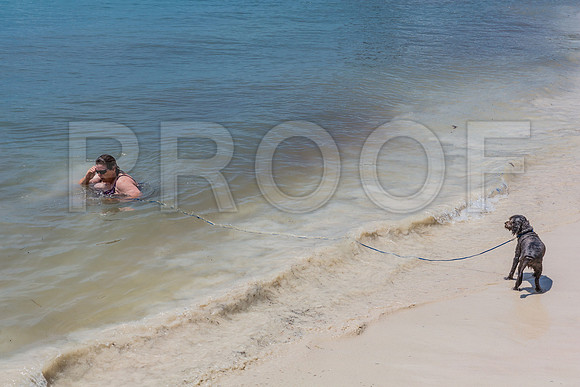 20140422_Key_West_9C7C1587