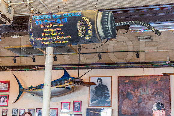 20140421_Key_West_9C7C0940